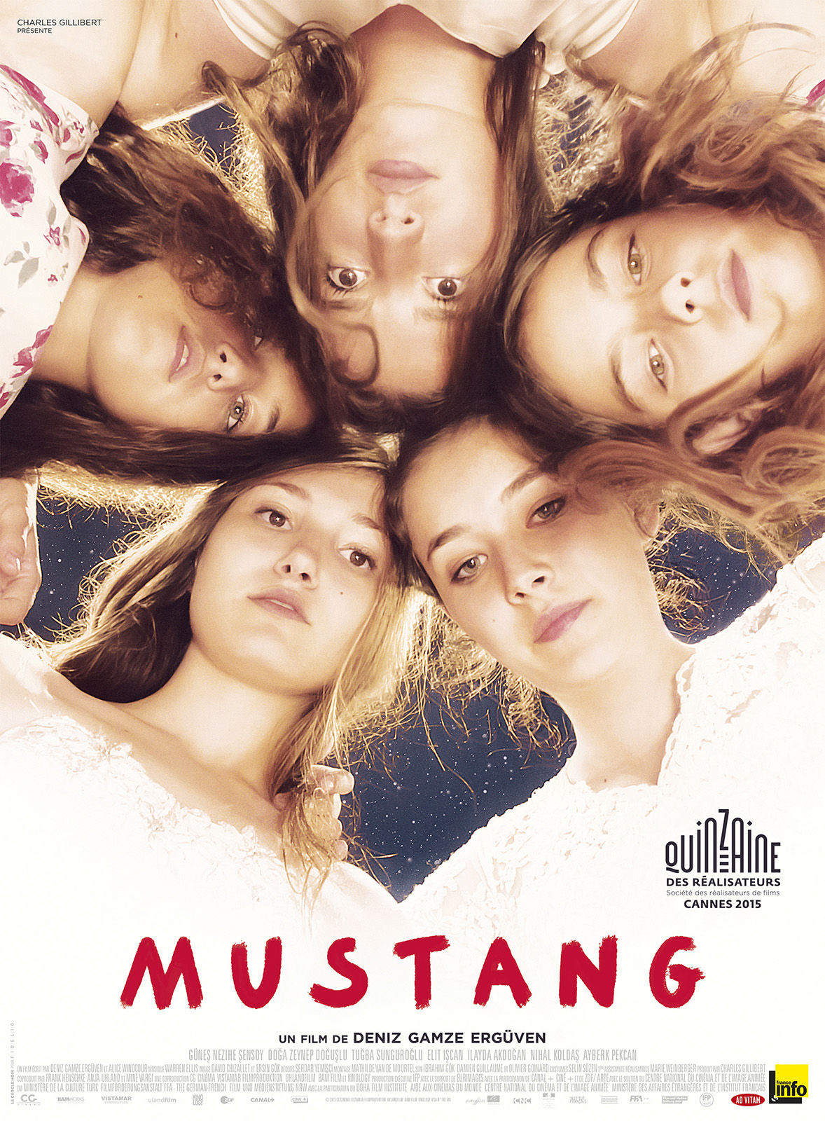 #15_YM_Mustang