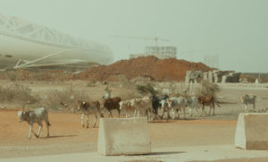 #21_CM_Atlantique_02