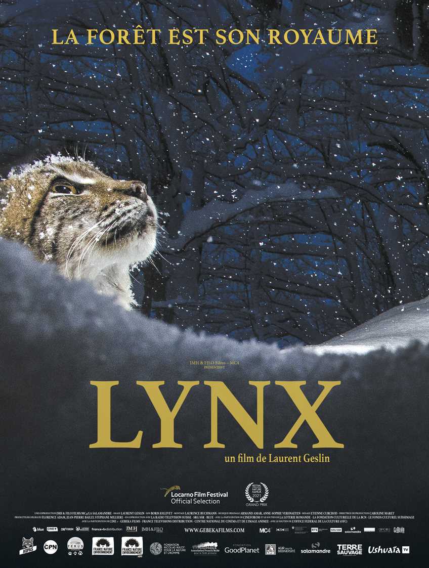 #35_LG_Lynx