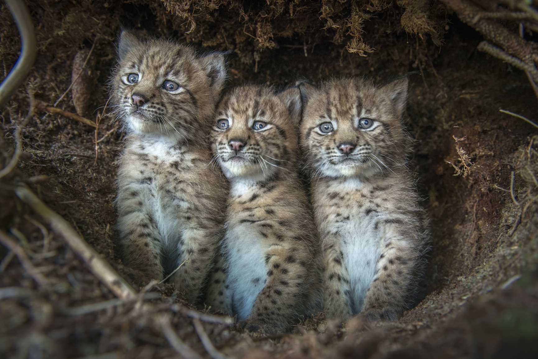 #35_LG_photographie_9